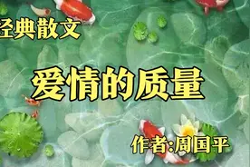 经典散文，《爱情的质量》，作者周国平视频封面
