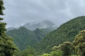 峨眉山两天应该怎么玩，看这个视频就够了，首日游水+寻猴视频封面