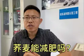 荞麦能减肥吗？它的营养价值如何？营养师用数据告诉你答案！视频封面