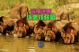 坏男孩联盟踏上“复仇之战”，结果却因干预遗憾落败，下场凄惨！