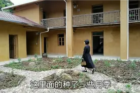 耗资50万改造的乡村民宿，可分住给网友们，一家人一块地种菜视频封面