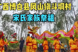 广西博白县凤山镇斗垌村宋氏家族祭祖视频封面