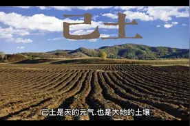 十天干之己土，可识其喜忌及性格视频封面