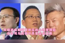 继任泽平后，吴晓波用曲解破窗效应来攻击司马南破坏民营企业发展视频封面