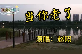 重阳节听这首《当你老了》颇有感触，潸然泪下，愿老人们幸福快乐视频封面