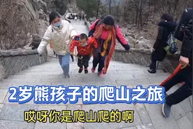 带孩子去泰安爬泰山，原来第一次不能爬到顶，这说法您知道吗？视频封面