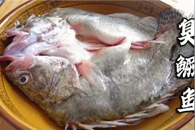 闻着臭吃着香的臭鳜鱼，腌制方法和配方毫无保留分享，上桌就抢光视频封面