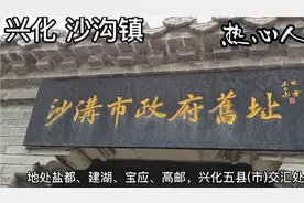 兴化沙沟镇曾经是个市 下辖扬州泰州盐部分地区 周奋纪念馆在此视频封面