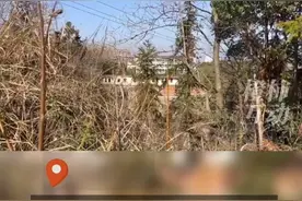 录音笔里面藏着案件的证据，还是制造谎言的工具🛠️@桃源仙子yy视频封面