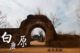 探访陕西作家陈忠实笔下的白鹿原，关中文化古旧而深远，引人深思视频封面