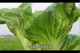 白萝卜，红萝卜，胡萝卜能在一起吃吗？看看萝卜的禁忌就知道了视频封面