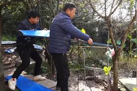 小黄狗生了两只小狗崽，一黑一白真可爱，天冷给它们搭个房子过冬视频封面