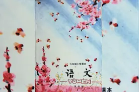 80后小学语文课本书第四册，你有印象吗？视频封面