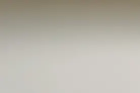 聊一聊远房亲戚的公司阳光乳业