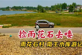 去南京横梁镇捡雨花石，在南王水库边堆积成山，还有成群的大白鹅