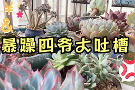 太阳就像个顽皮的孩子，时而躲在云彩后，时而又露出了笑脸！！！视频封面