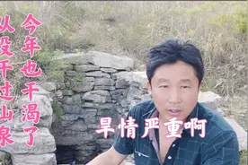 山东济宁快半年没下雨了，从没干过的山泉，今年也没幸免，旱坏了视频封面