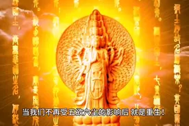 涅槃重生什么意思视频封面