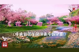 中国名曲《花儿与少年》中央乐团演奏！轻快活泼轻松的优美曲子。视频封面