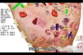 人体手部穴位图（高清详解）手掌穴位图解大全视频封面