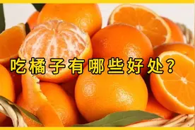 吃桔子的好处多多，但不要吃多了，一天最多5个，你知道了吗视频封面