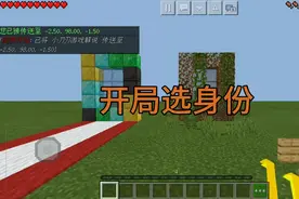 我的世界:开局选身份的娱乐视频