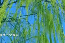 董文华经典歌曲《春天的故事》有一位老人在中国的南海画了一圈！视频封面