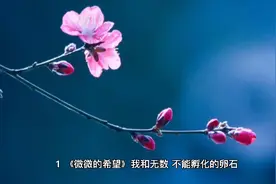 顾城最经典的十首短诗视频封面