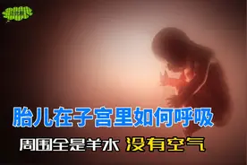 胎儿在子宫里如何呼吸？为何刚出生就懂得呼吸？视频封面