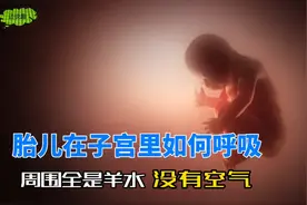 胎儿在子宫里如何呼吸？为何刚出生就懂得呼吸？视频封面