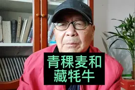 在西藏那些日子里(四)，藏族同胞如今过得怎么样？视频封面