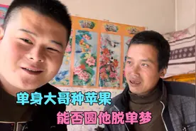 单身大哥在家种苹果，一年收益一万五，怎样凑够100万彩礼视频封面