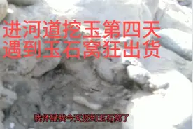 塔什萨依河挖玉第四天狂出货，大白玉来了。视频封面