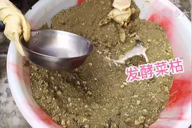 发酵菜籽饼，加两样东西，10天后蓬松酥软，种花种菜都用得上视频封面