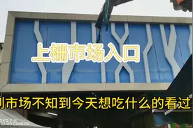 这里什么都有视频封面
