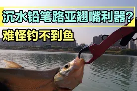 沉水铅笔是路亚翘嘴利器？但好饵寥寥无几，一分钟揭开选饵的秘密视频封面