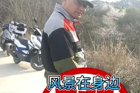 忽如一夜春风来 千树万树樱花开～猛然遇见你视频封面