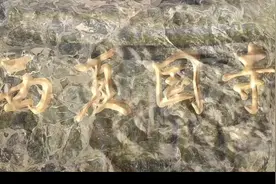 亚洲最大的卧佛，皇家寺院，张掖大佛寺，疫情原因进不去。视频封面