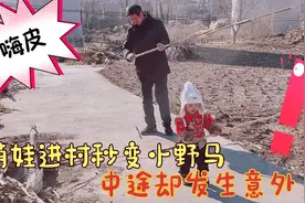 萌娃回到农村就像脱缰的小野马，发生意外，却丝毫不影响撒欢儿视频封面