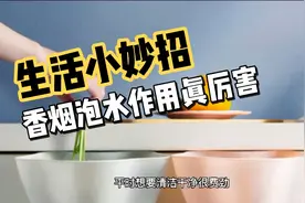 香烟泡水作用真厉害，解决千家万户常面临的难题，学会家人很受用视频封面