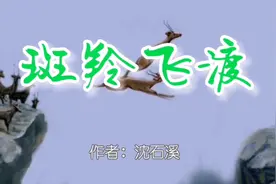 海风朗读，动物小说《斑羚飞渡》完整版，作者沈石溪@静安思道视频封面