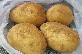 翻新土豆危害大，买土豆，辨别清楚再买，看完告知家人朋友视频封面