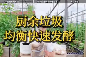 厨余垃圾不要丢，用这个方法做成有机肥，养分均衡不会臭视频封面