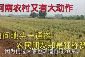 河南农村又有大动作，田间地头一通挖，农民朋友却是高兴狂称赞！视频封面