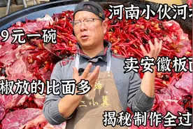 河南小伙石家庄卖安徽板面，9元一碗辣椒比面多，揭秘制作全过程视频封面