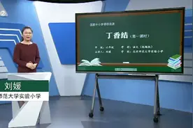 六年级上册语文《丁香结讲解》