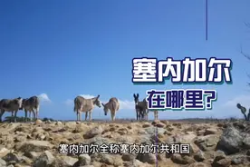 塞内加尔介绍视频封面
