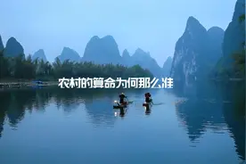 农村的算命为什么准视频封面