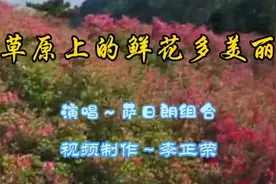 《草原上的鲜花多美丽》视频封面
