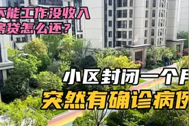 上海封闭一个月，不工作没收入，每月要还1万7的房贷，太难了视频封面